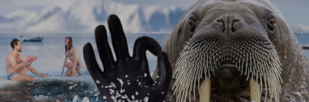 DUŻY WYBÓR MARKOWYCH RĘKAWICZEK TYLKO W GOKAJAKU